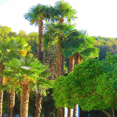 Villa Garni Gardenia Caslano Exteriér fotografie